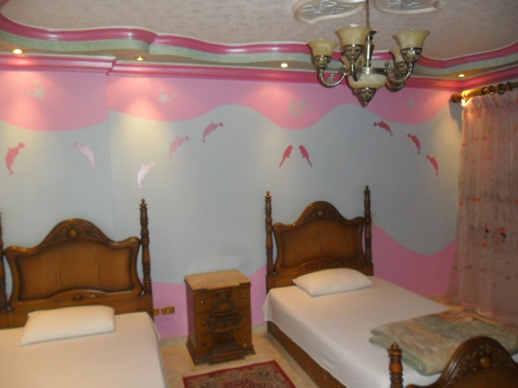 شقة مفروشة على شارع جامعة الدول العربية الرئيسى