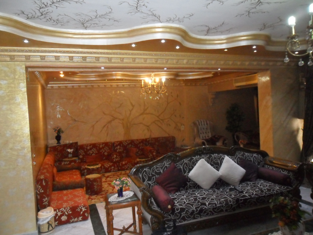 شقة مفروشة على شارع جامعة الدول العربية الرئيسى