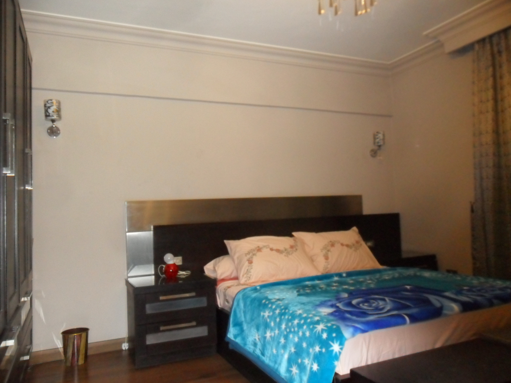 شقة مفروشة فى شارع مصدق بالدقى