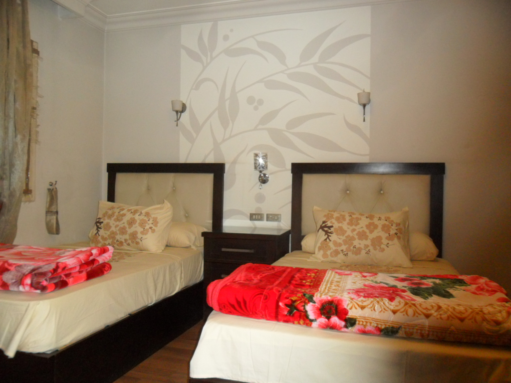 شقة مفروشة فى شارع مصدق بالدقى