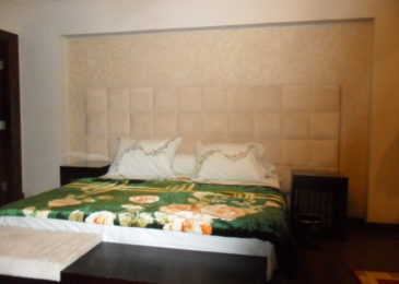 شقة مفروشة فى الدقى شارع مصدق هاى لوكس