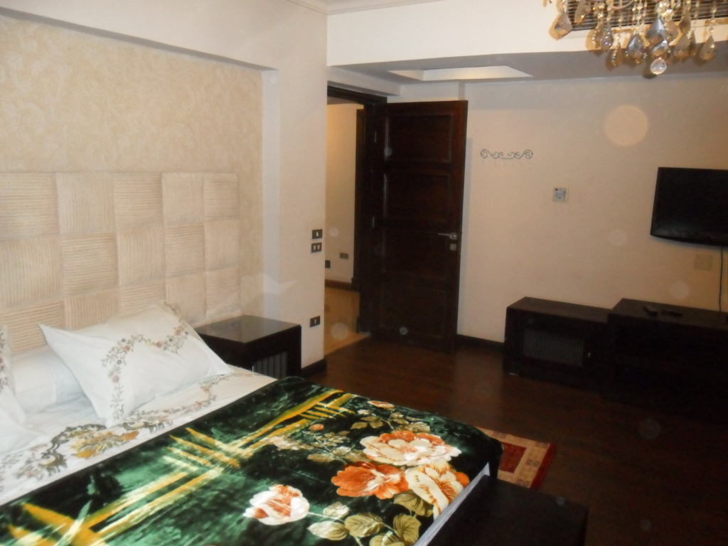 شقة مفروشة فى شارع مصدق بالدقى