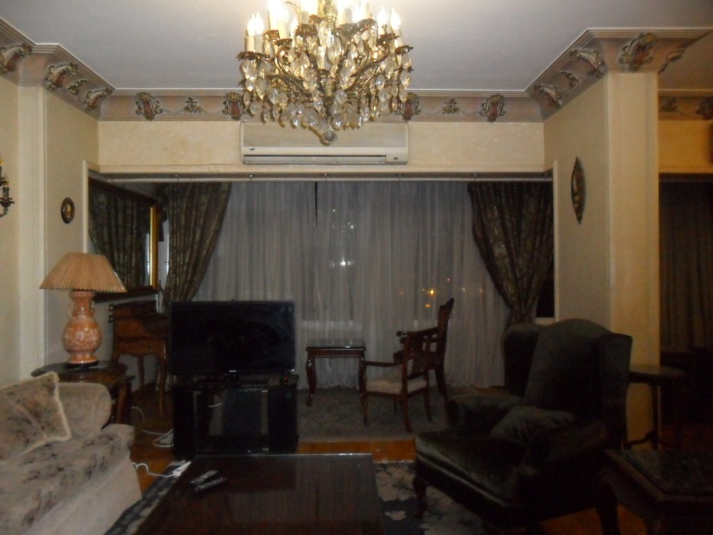 فيلا مفروشة على النيل فى الدقى هاى لوكس