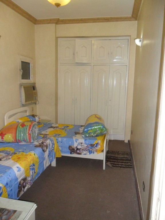 فيلا مفروشة على النيل فى الدقى هاى لوكس