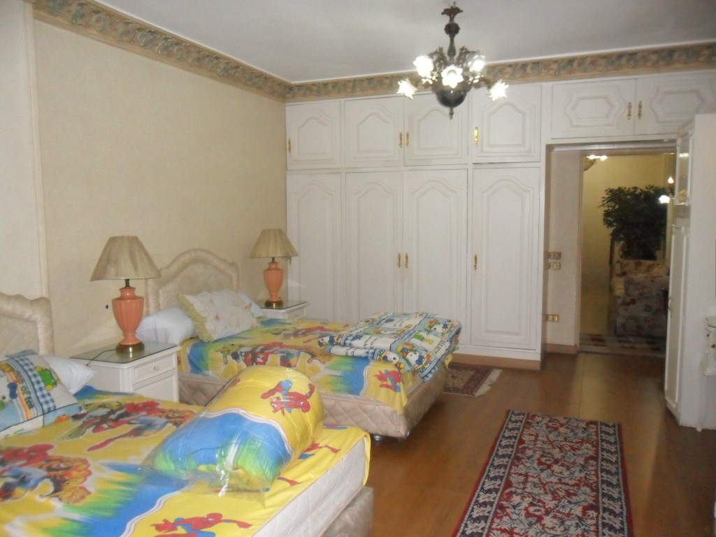 فيلا مفروشة على النيل فى الدقى هاى لوكس