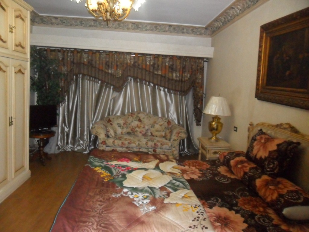 فيلا مفروشة على النيل فى الدقى هاى لوكس