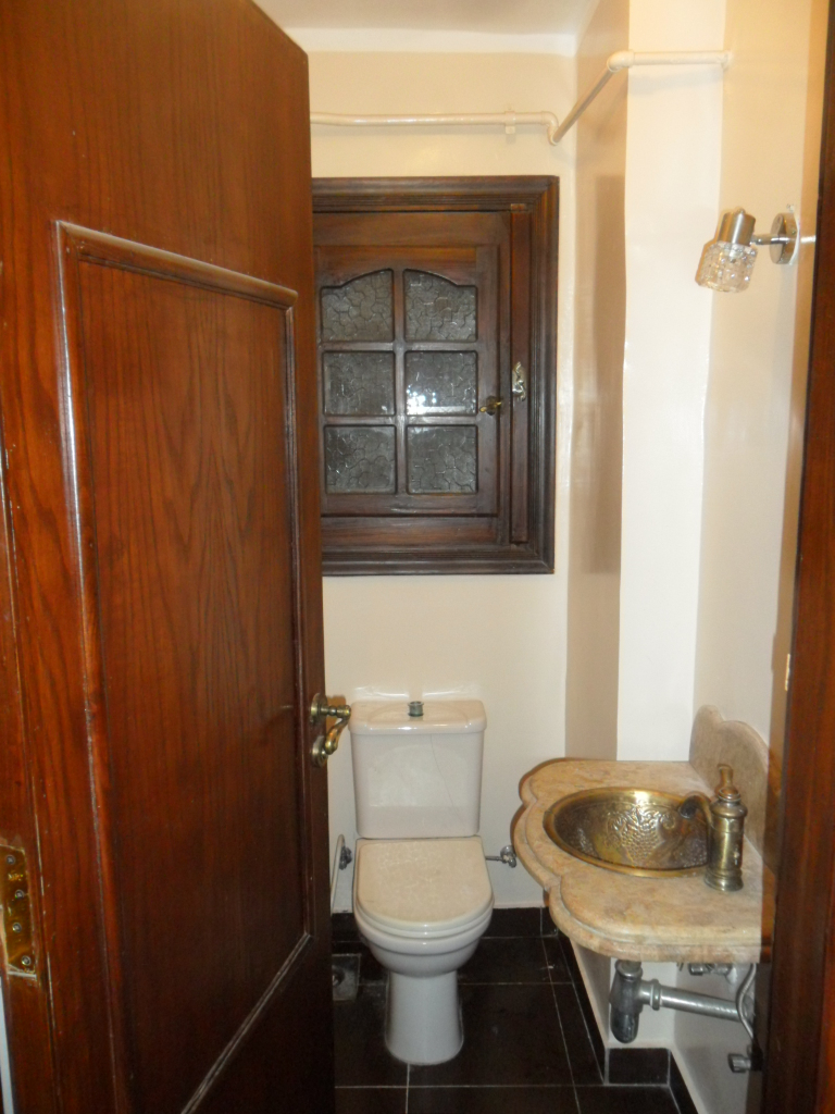 شقة مفروشة فى الدقى القاهرة شارع المساحة للايجار