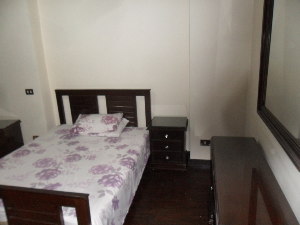 شقة مفروشة فى الدقى القاهرة شارع المساحة للايجار