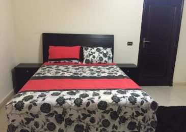 شقة مفروشة فى المهندسين تفرع محى الدين أبو العز هاى لوكس