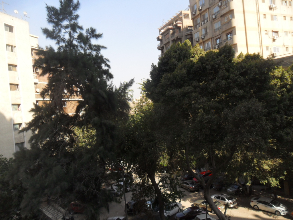 موقع عقار لى شقة للإيجار قانون جديد فى المهندسين تفرع شارع شهاب وقرب شارع لبنان